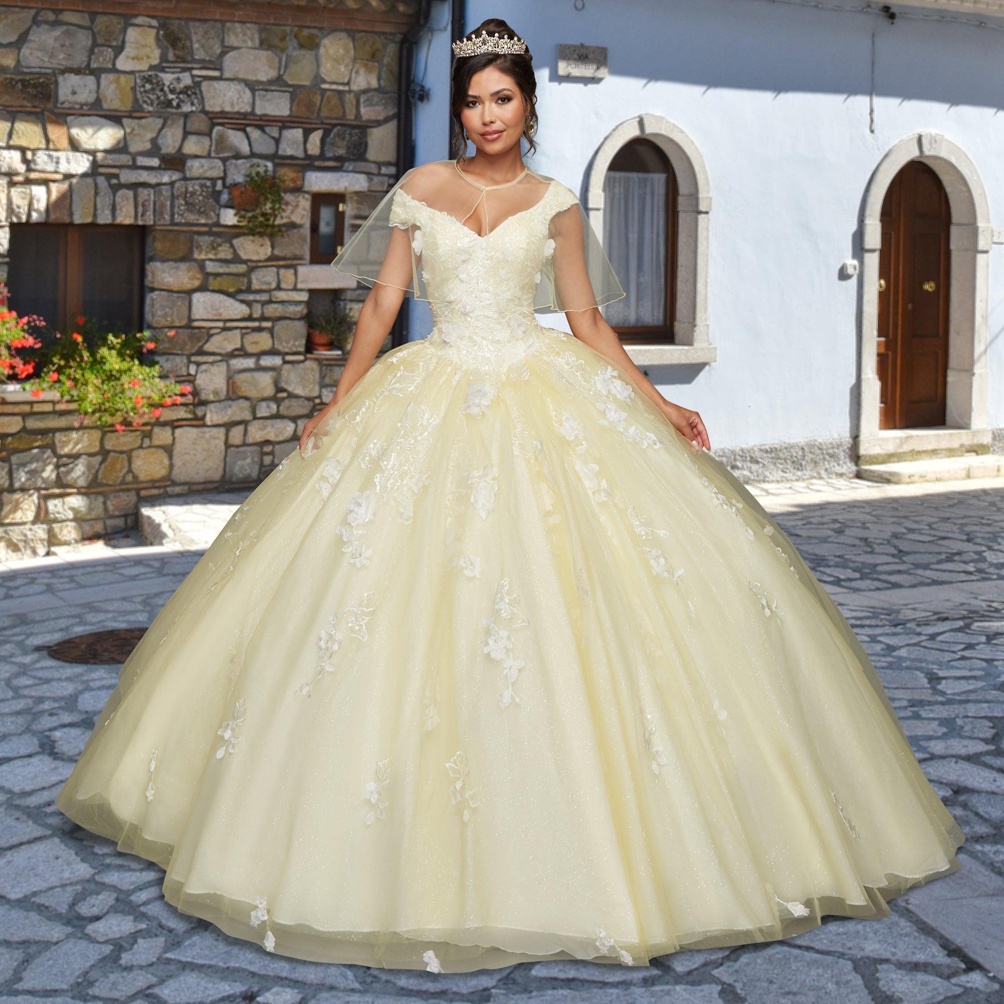 Quinceañera Sample Dress QX411