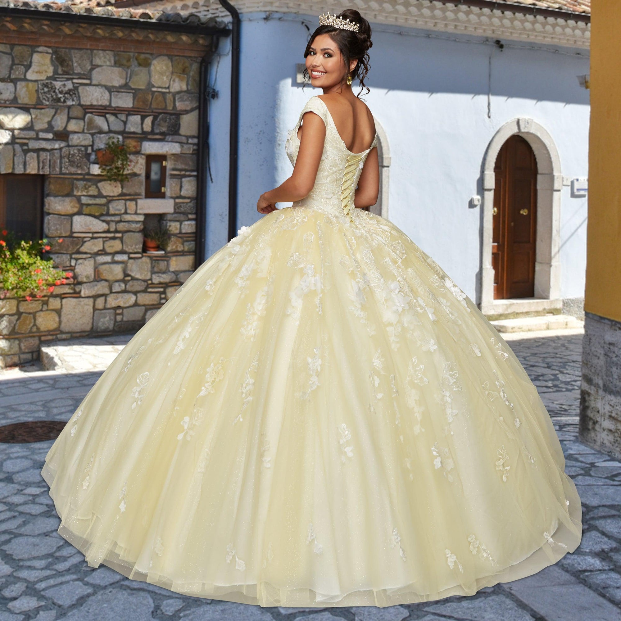 Quinceañera Sample Dress QX411