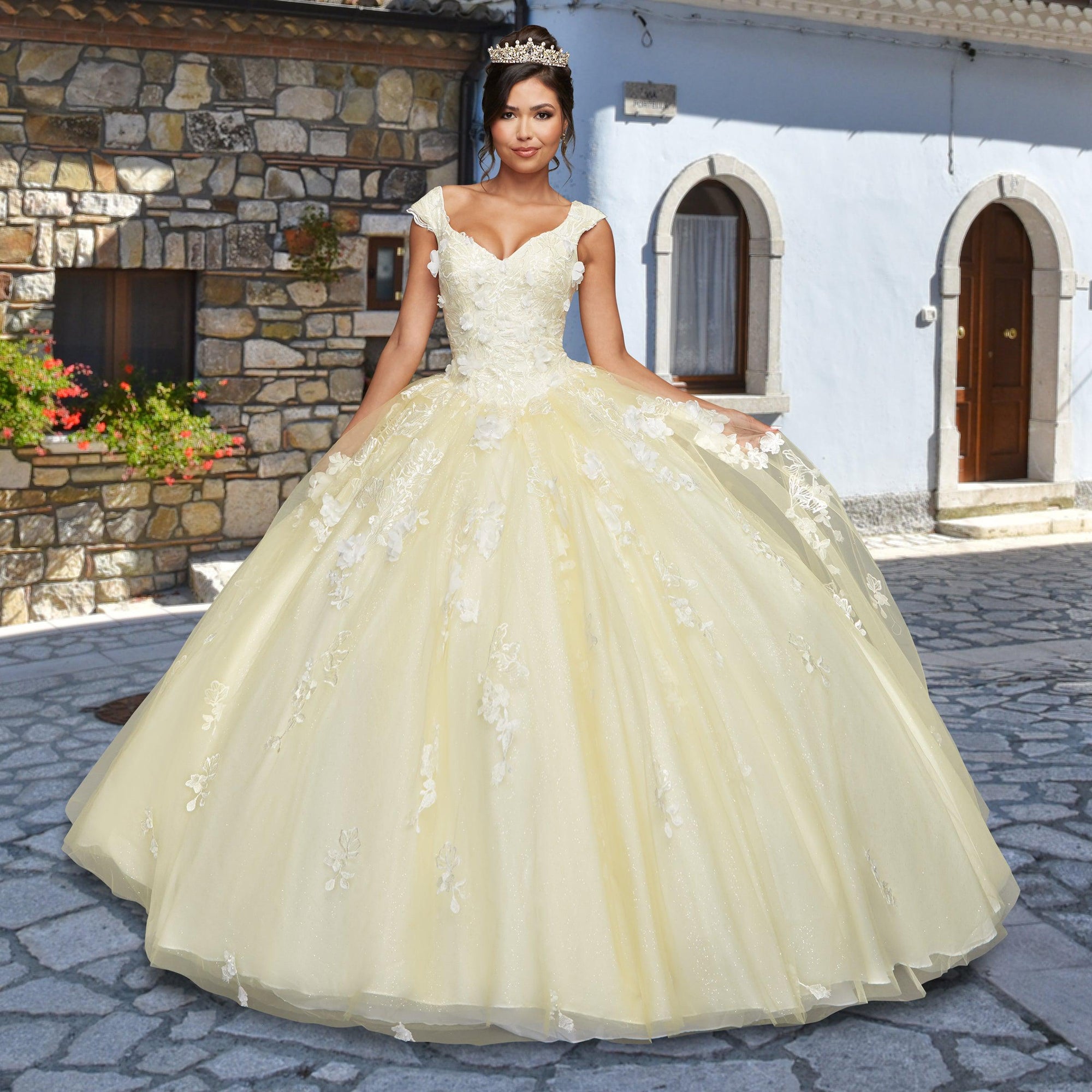 Quinceañera Sample Dress QX411