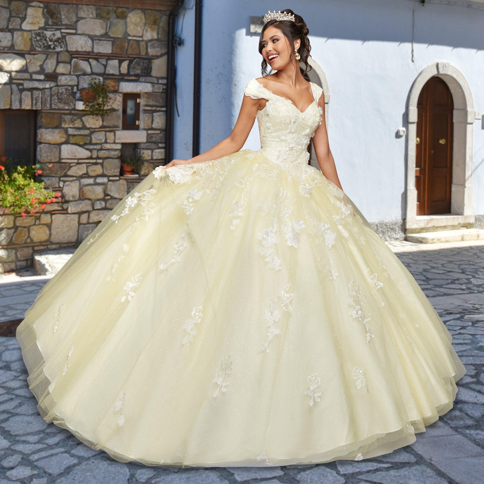 Quinceañera Sample Dress QX411