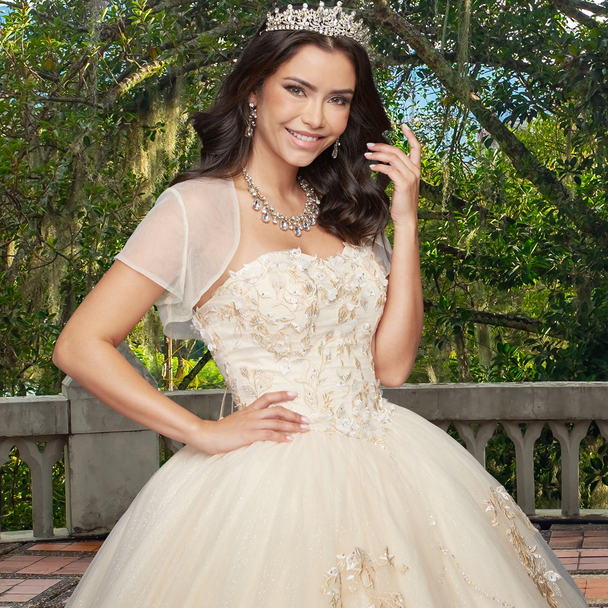 Quinceañera Sample Dress QX403