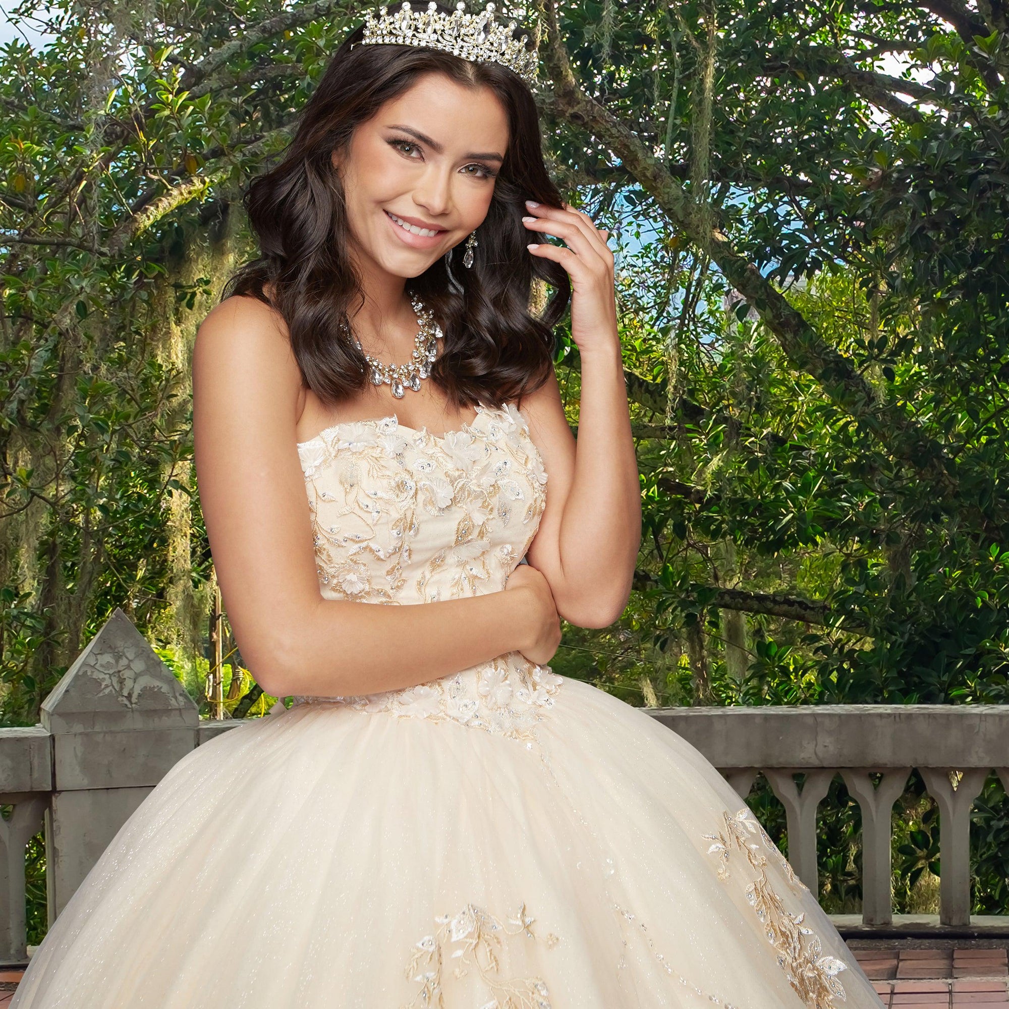 Quinceañera Sample Dress QX403