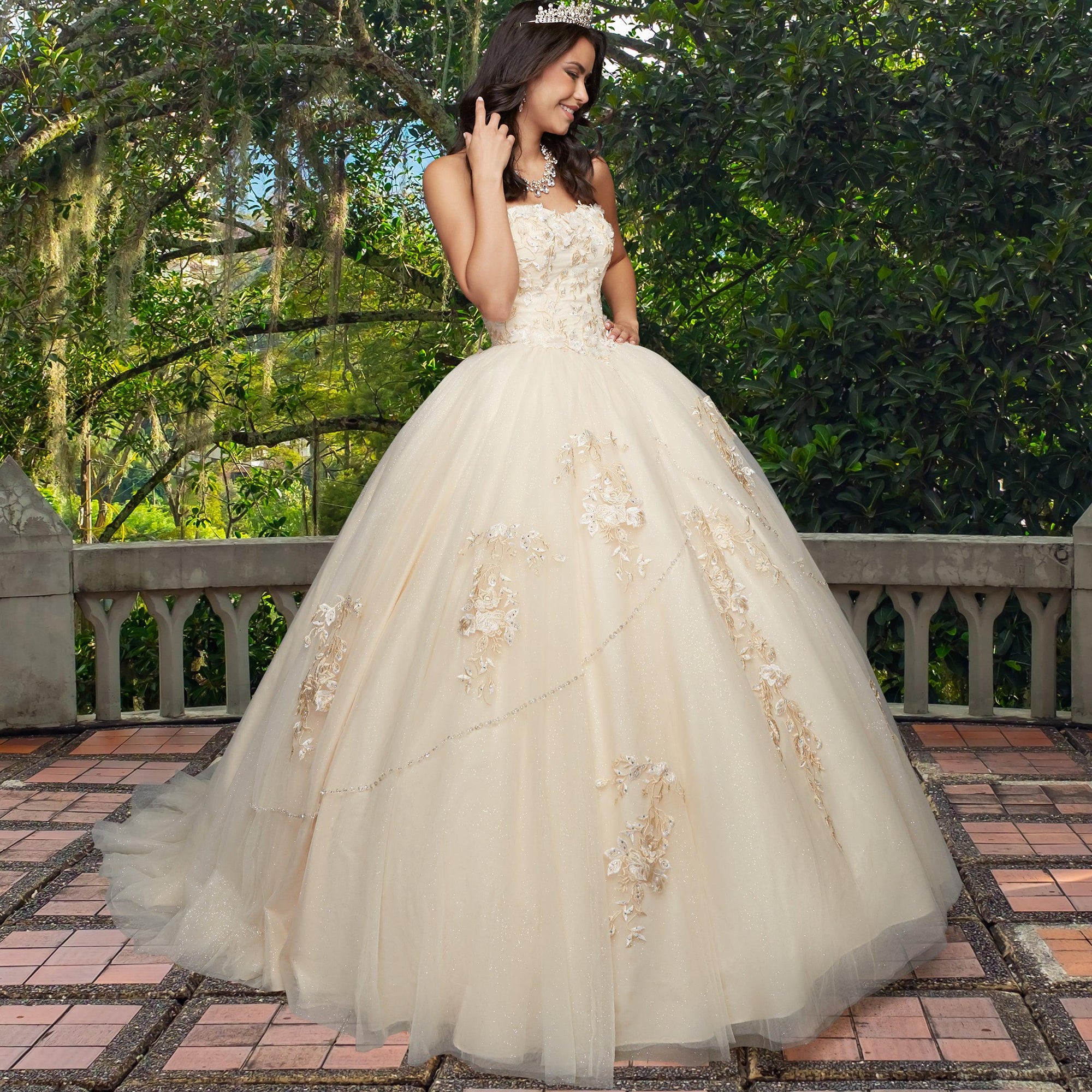 Quinceañera Sample Dress QX403
