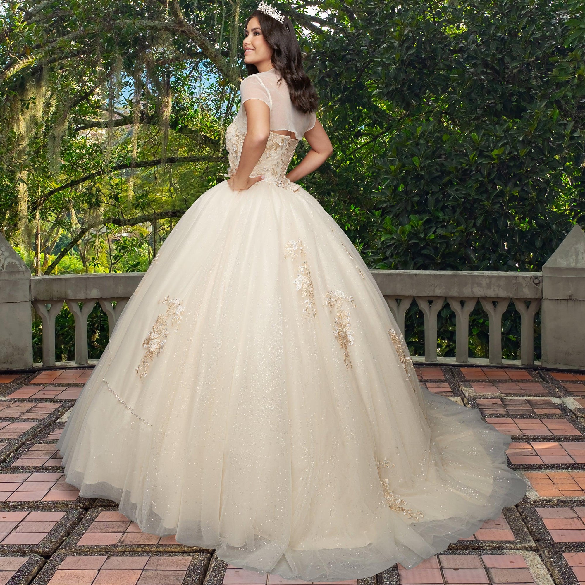 Quinceañera Sample Dress QX403