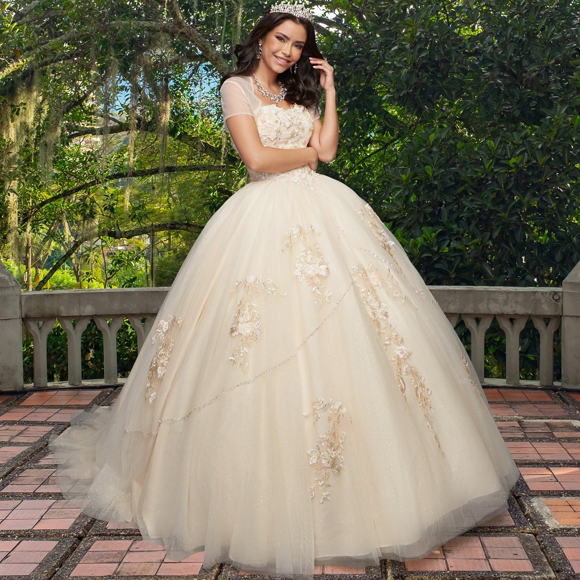 Quinceañera Sample Dress QX403