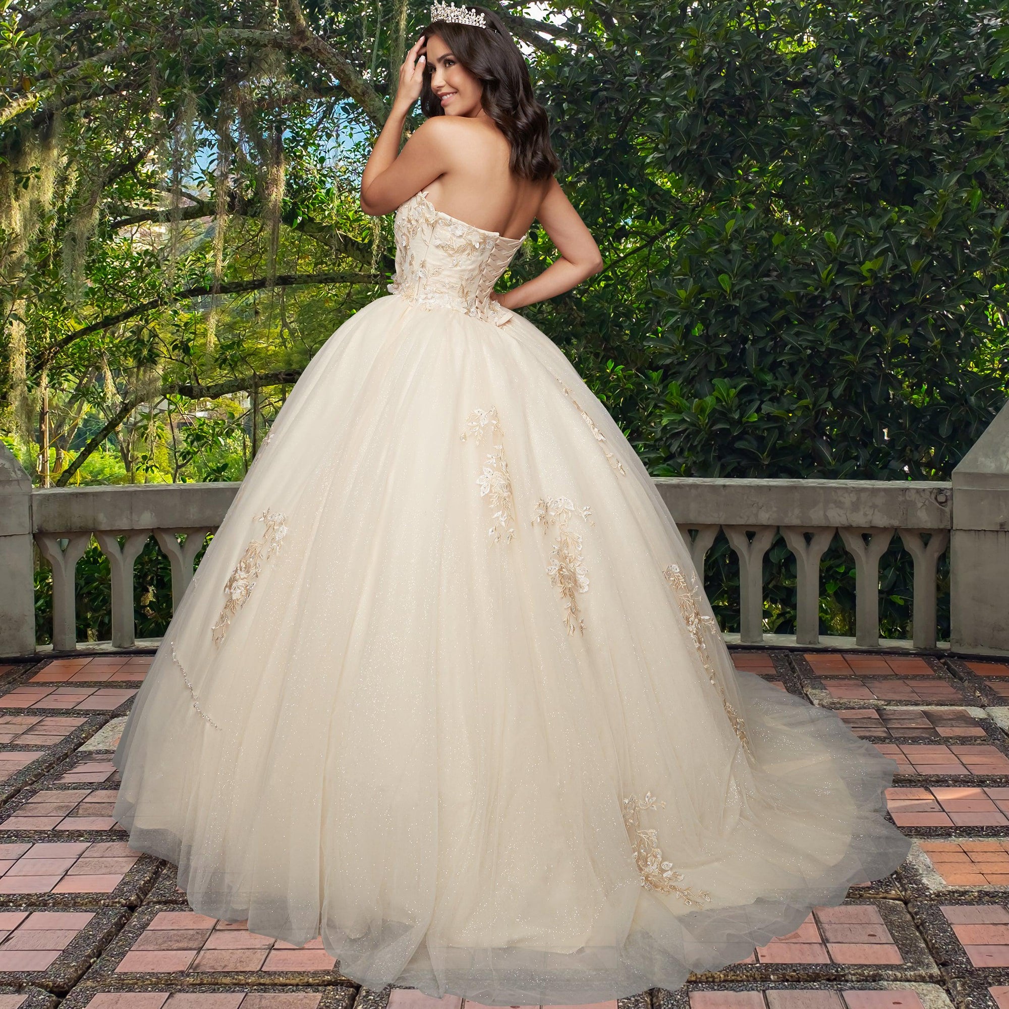 Quinceañera Sample Dress QX403