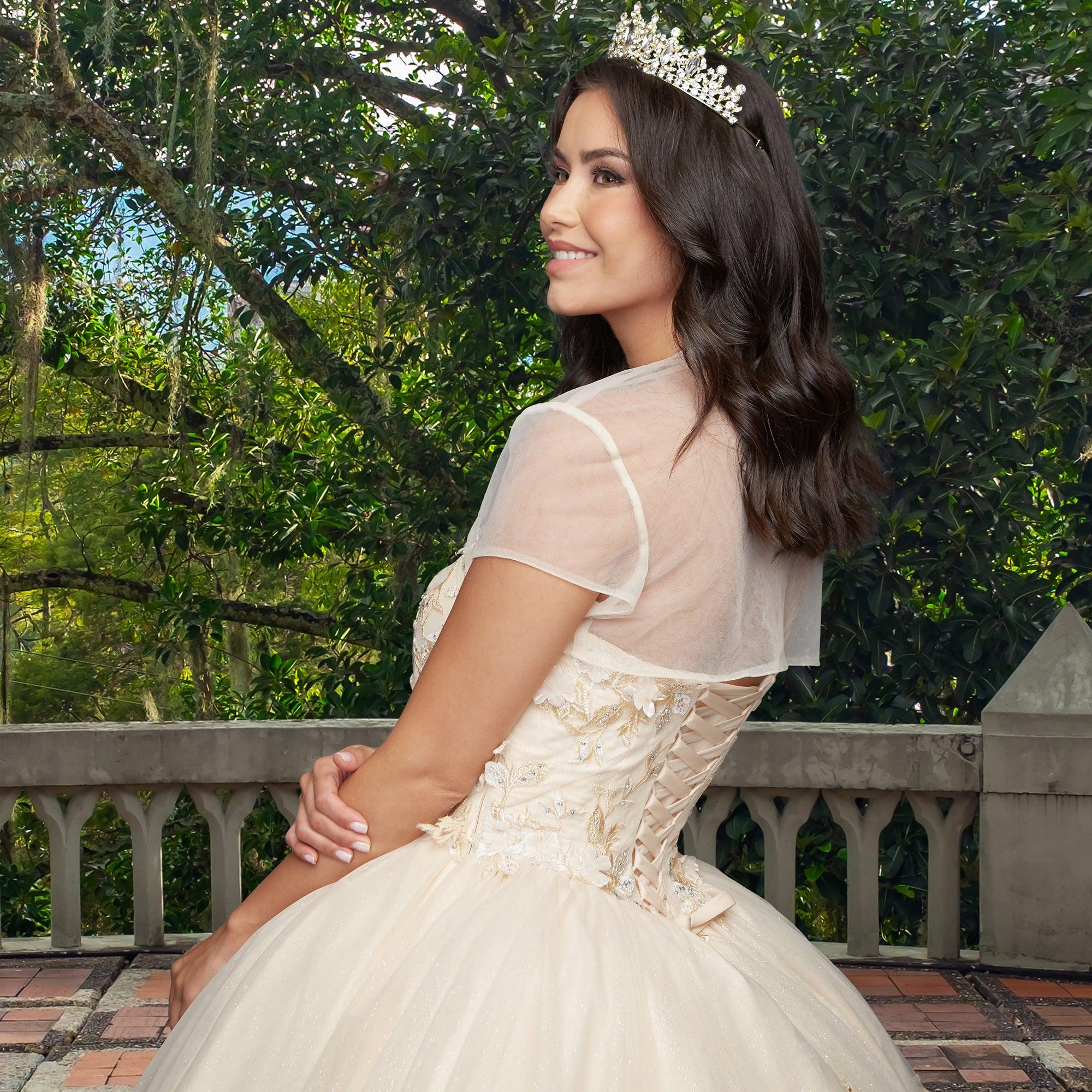 Quinceañera Sample Dress QX403