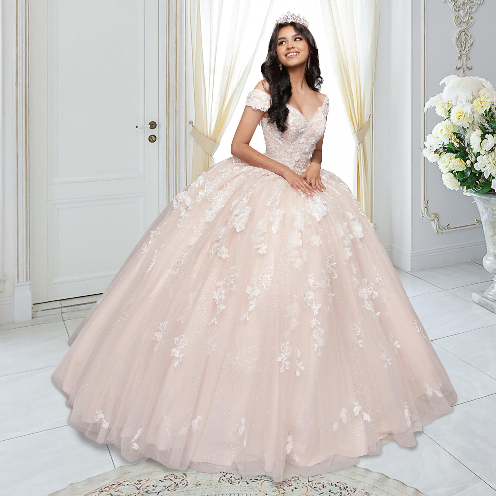 Quinceañera Sample Dress QX411