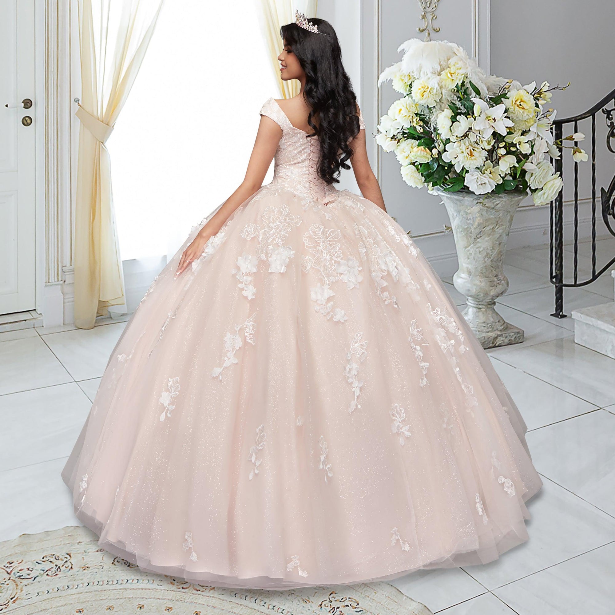 Quinceañera Sample Dress QX411