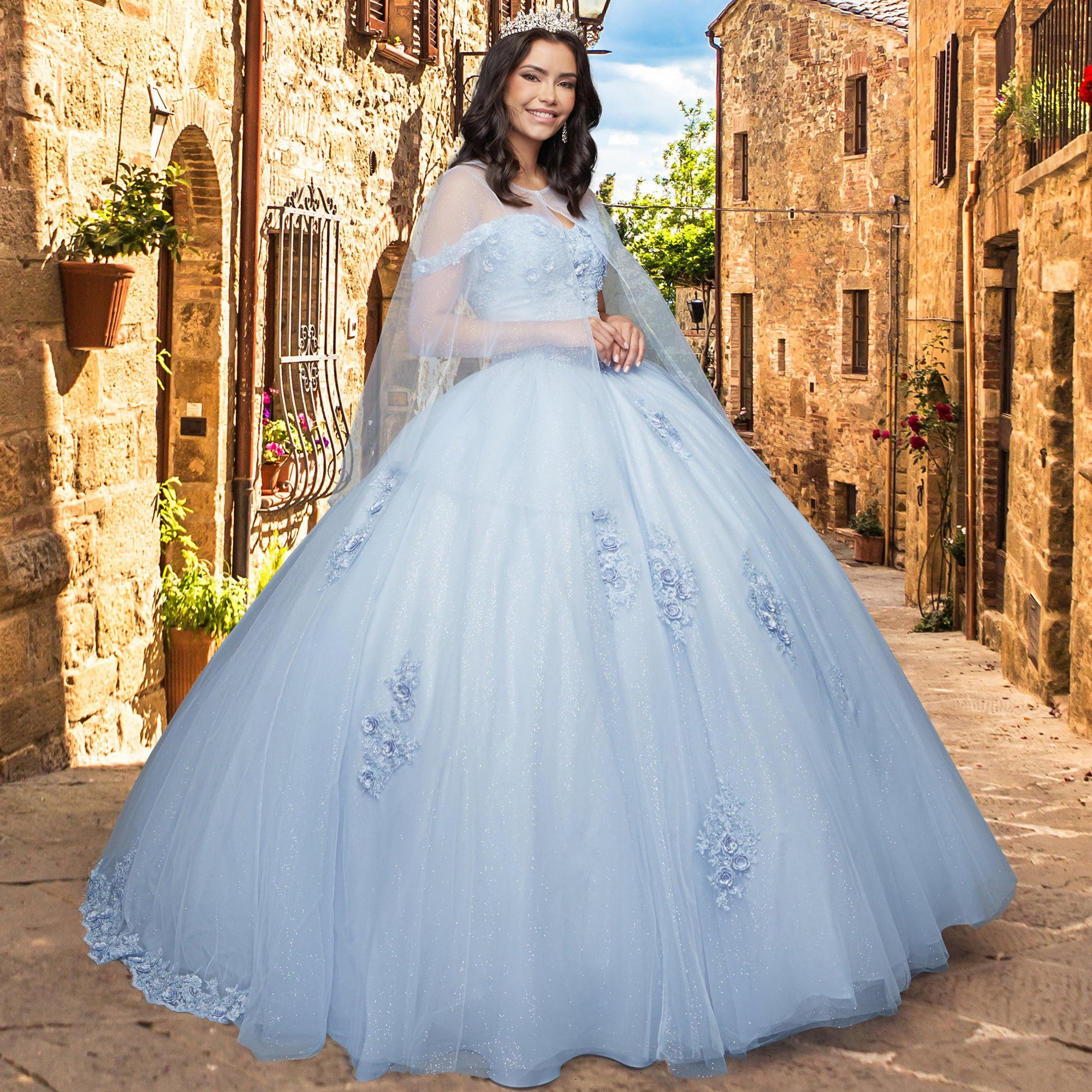Quinceañera Sample Dress QY307