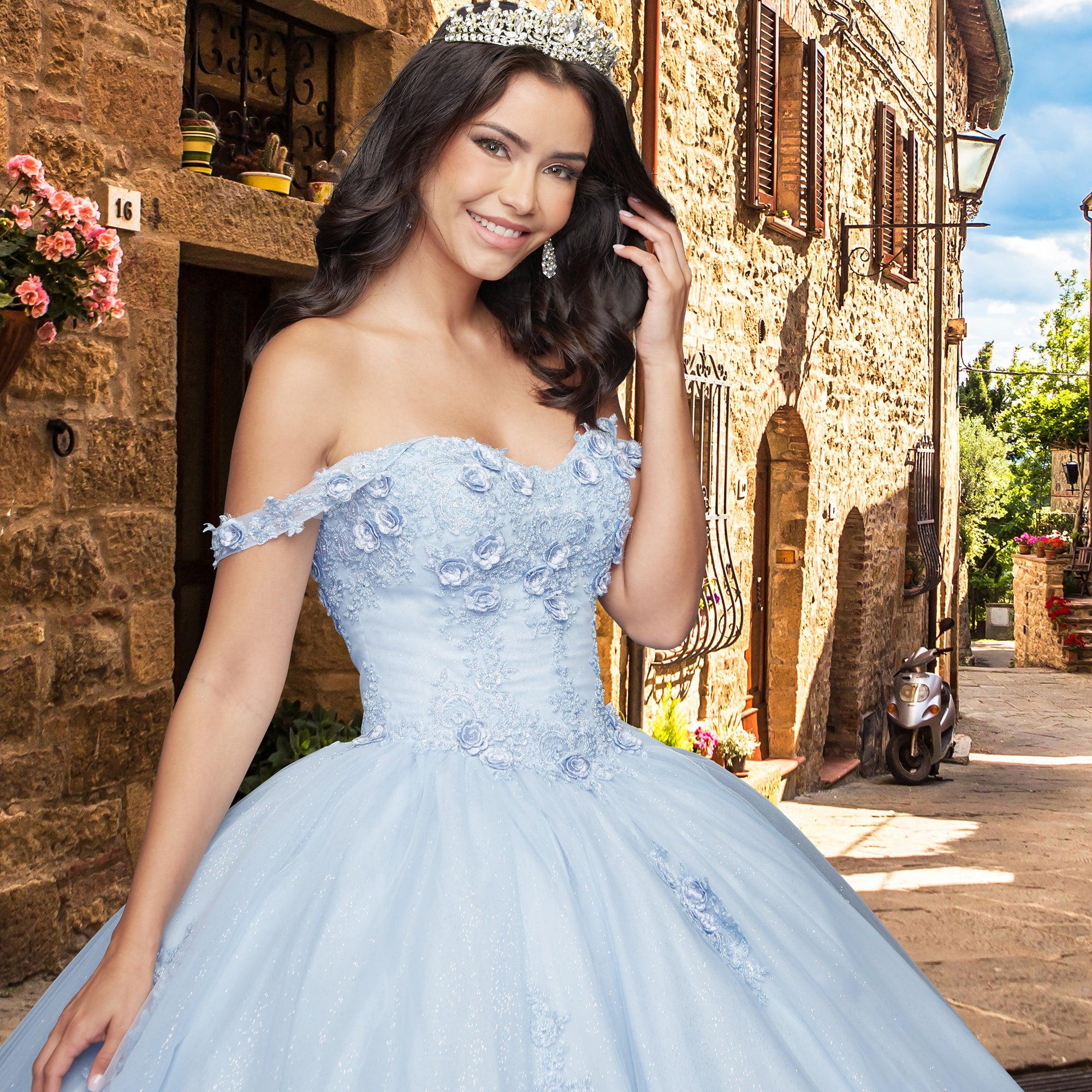 Quinceañera Sample Dress QY307
