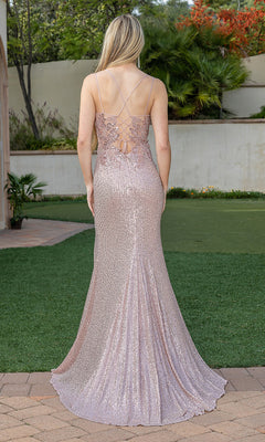 Dancing Queen-Sheer-Corset-Back Fitted Long Sequin Prom Dress